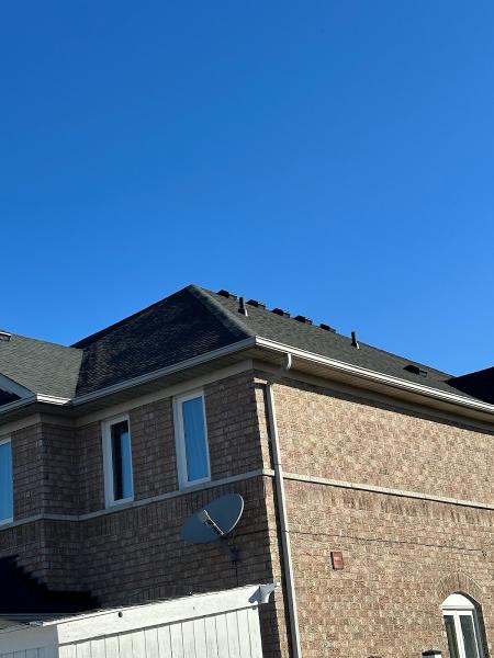 Diamond Roof Repair & Handyman Services