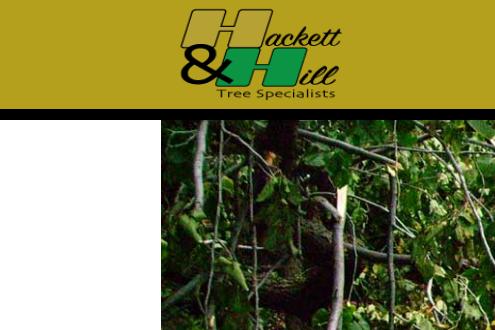 Hackett & Hill Tree Specialists