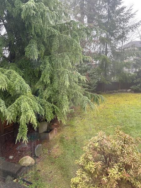 Permanent Irrigation Systems