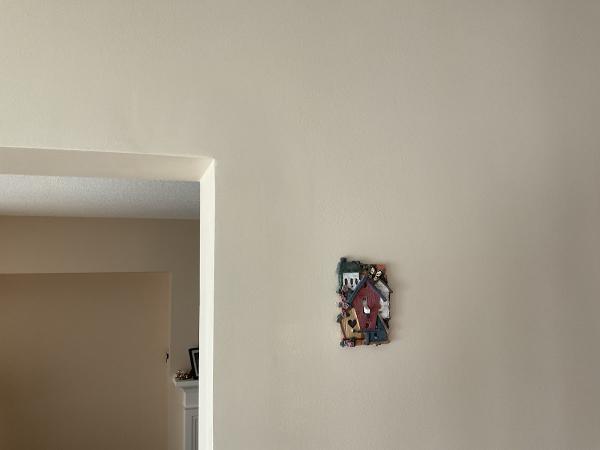 Daw Drywall Services