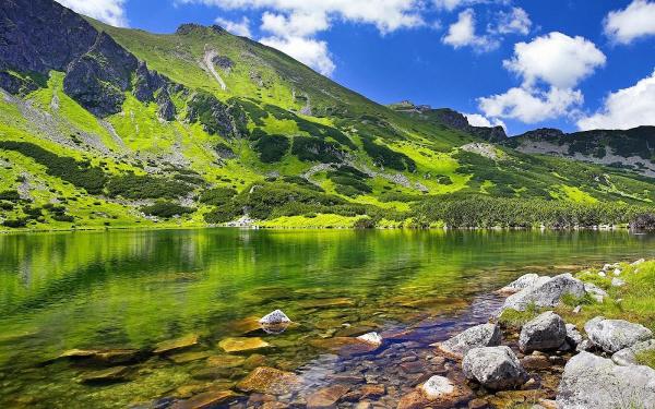 Antiquity Environmental Consulting Ltd.