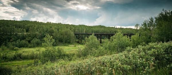 CIR Realty-Kellerwalker Real Estate Team