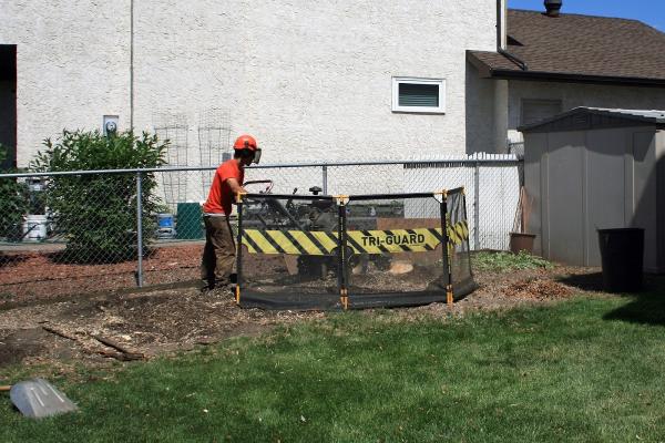 Northern Tree Co Inc