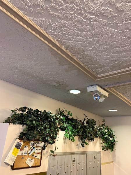 Cowichan Steelhead Restoration & Construction