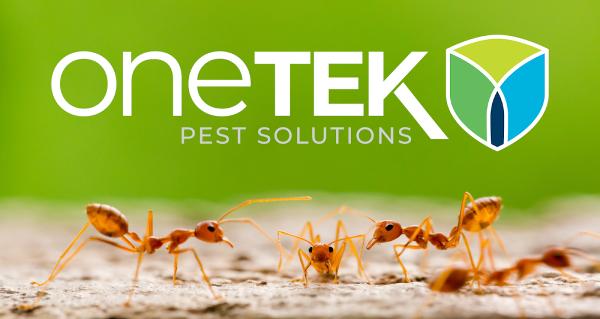 Onetek Pest Solutions