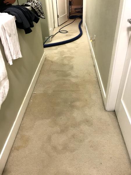 Carpet Cleaning Langley