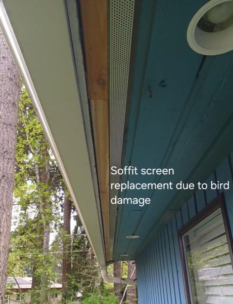 Cowichan Valley Pest Control Ltd.