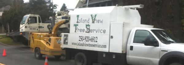 Island View Tree Service