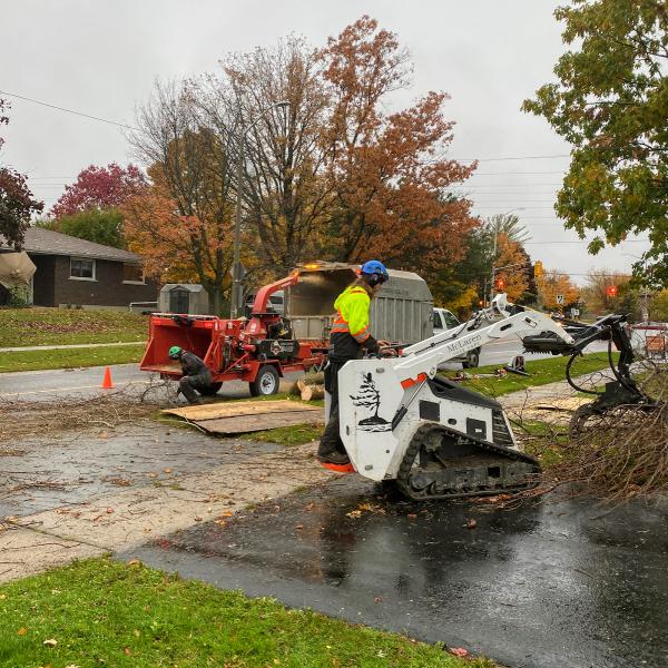 McLaren Tree Care