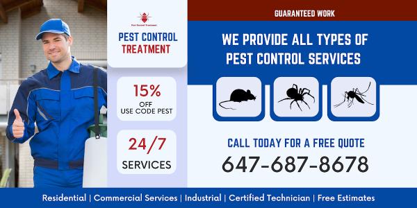 Pest Control Treatment