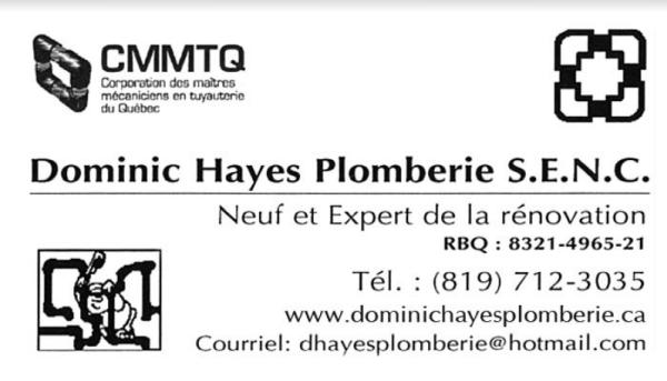 Dominic Hayes Plomberie Senc