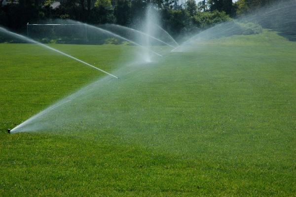 Sprinkler King