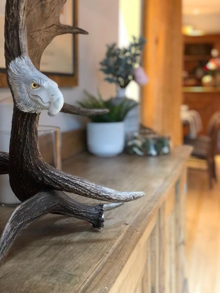 Coast + Oak Interior Design