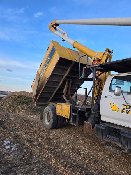 Wolverine Tree Services