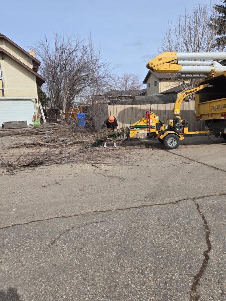 Wolverine Tree Services