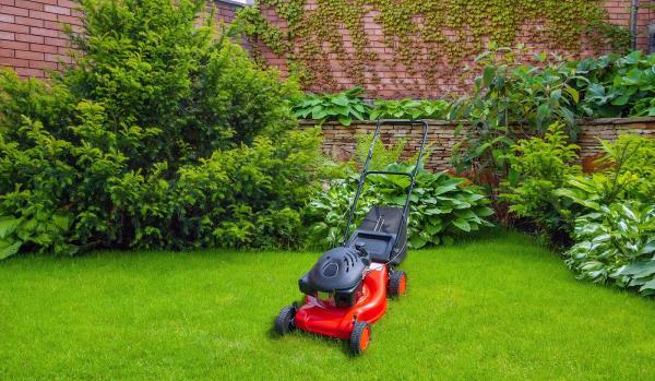 English Country Gardening