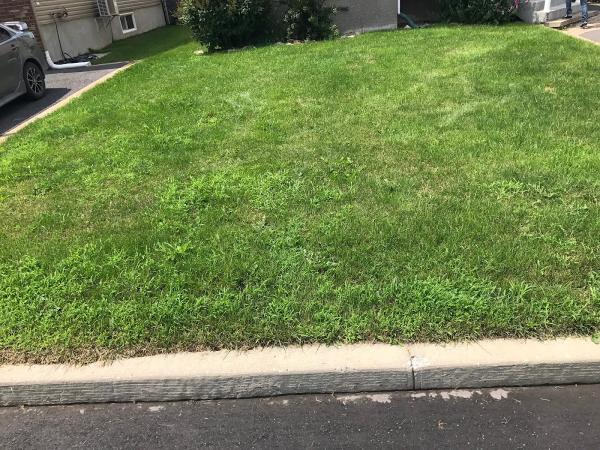 Paysagement Communautaire