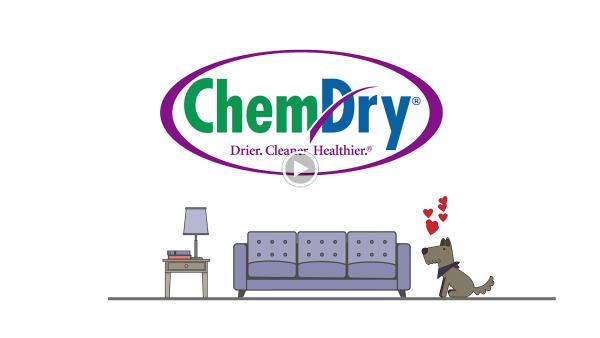 Chem-Dry Pro-Net / Montreal