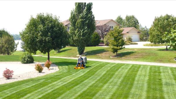 Maple Leaf Lawn Maintenance