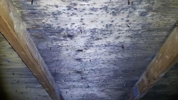 Prime Home Services Inc.