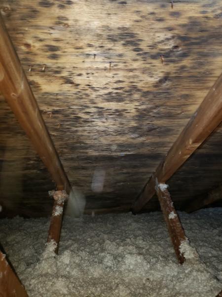 Prime Home Services Inc.