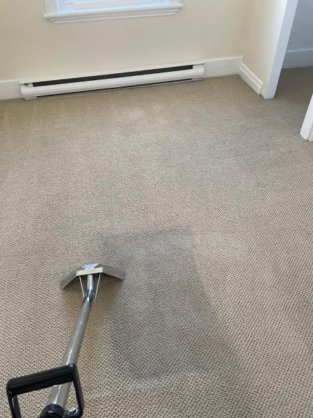 Elite House & Carpet Cleaning
