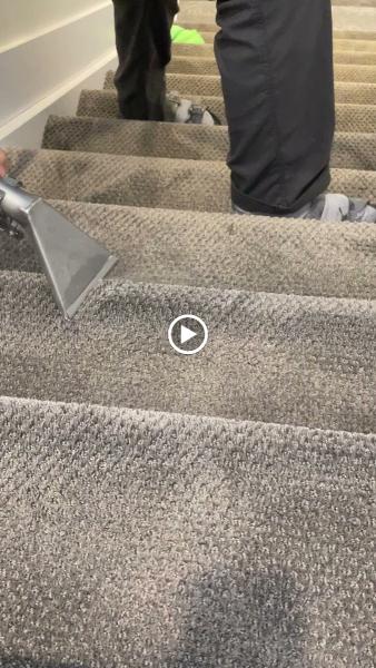 Elite House & Carpet Cleaning