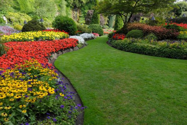 Green Clover Landscaping