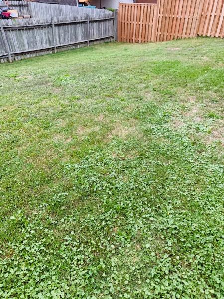 Max Landscaping