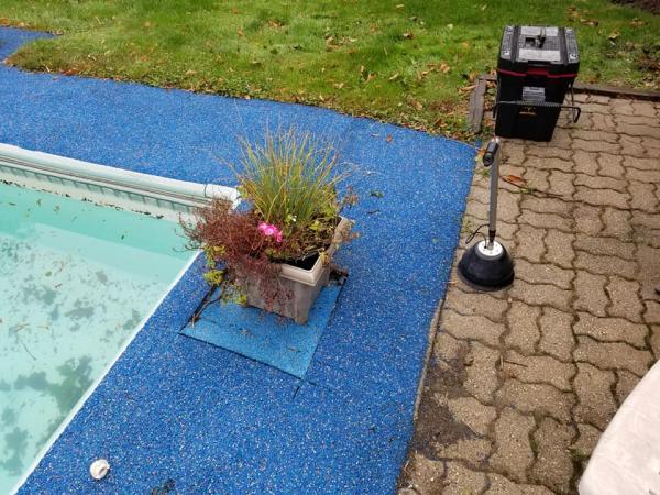 Reedpool