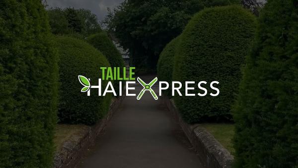 Taille Haiexpress