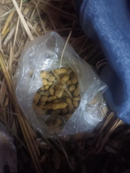 Empire Pest Control Bradford