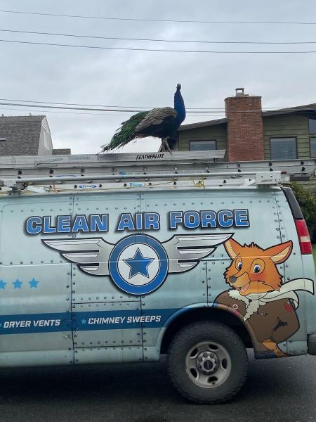 Clean Air Force
