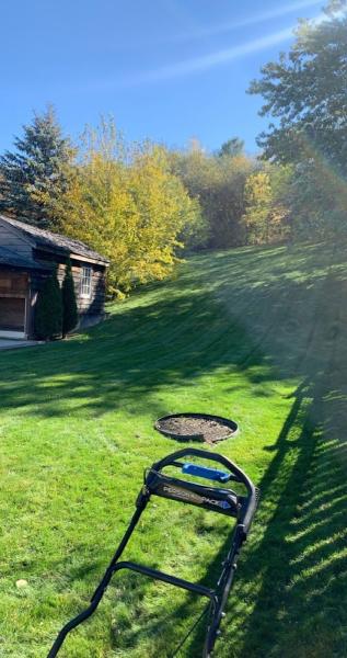 Edger Lawn Care