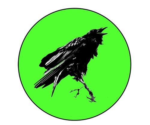 Green Raven Lawn and Garden Maintenance