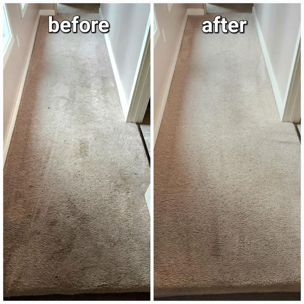 Goodhue Carpet Cleaning