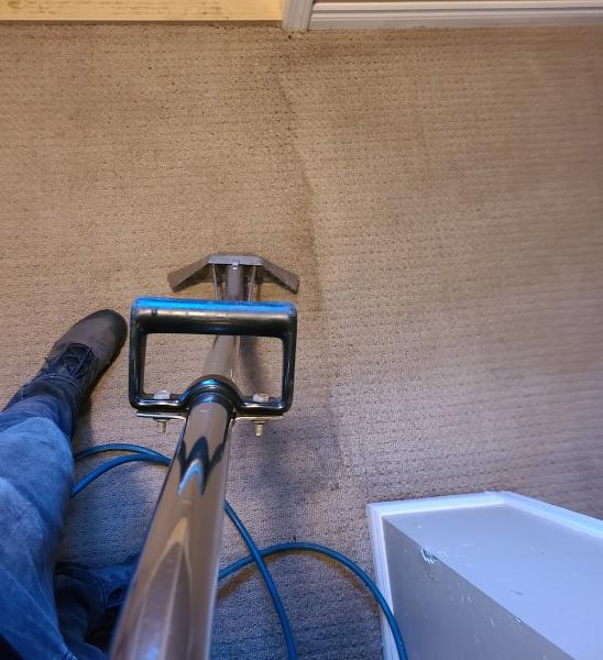 Goodhue Carpet Cleaning