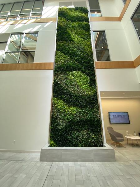 Vertical Oxygen Living Walls