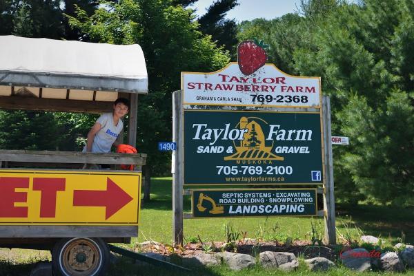Taylor Farm Sand & Gravel