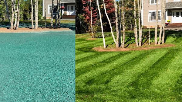 Codiac Hydroseed & Landscape