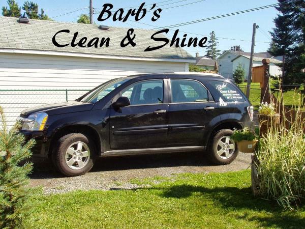 Barb's Clean & Shine