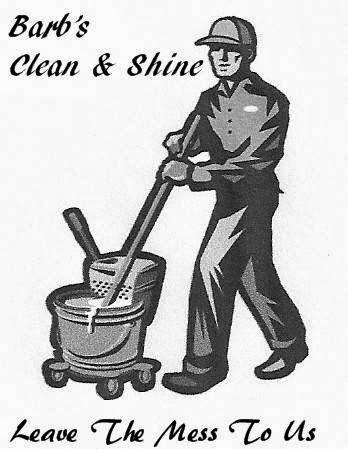 Barb's Clean & Shine