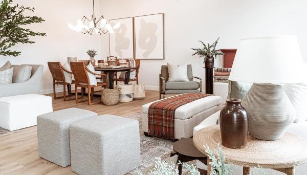 Candace Plotz Design