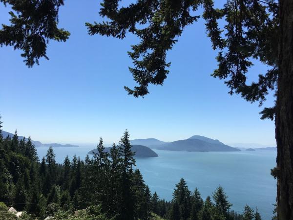 Cascadia Tree Care