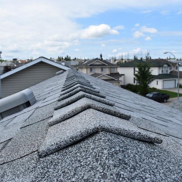 Alberta Professional Roofing Ltd.