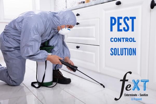 Fext Pest Control Lachine Montreal