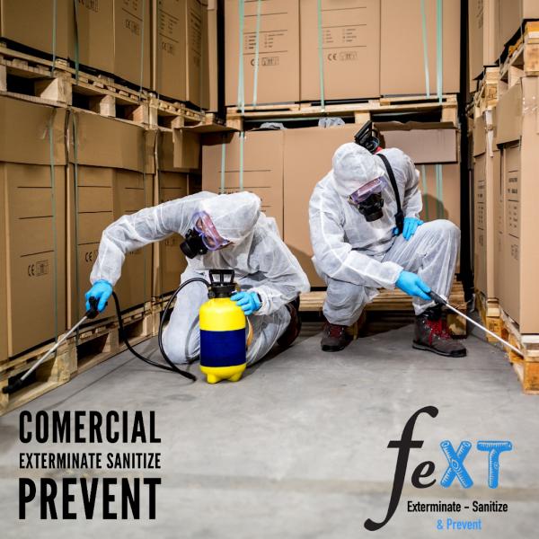 Fext Pest Control Lachine Montreal