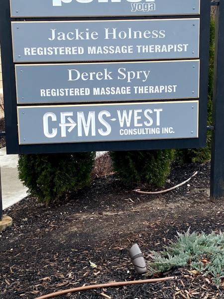 Cfms West Consulting Inc