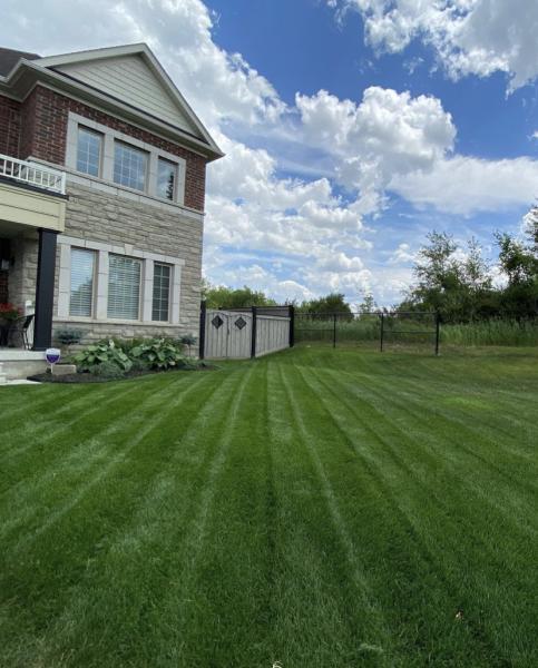 Sahota Landscaping