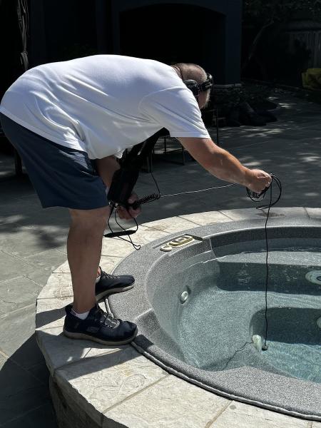 Trident Pool Leak Detection